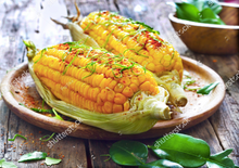 Medium Sized Yellow Corn