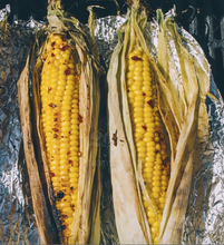 Medium Sized Yellow Corn